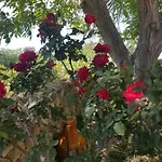 Trullo Del Cavaliere Delle Gravine Feriehus