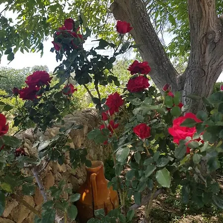 Trullo Del Cavaliere Delle Gravine Semesterbostad