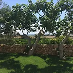 Trullo Del Cavaliere Delle Gravine