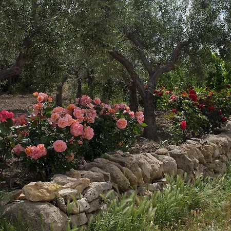 Trullo Del Cavaliere Delle Gravine