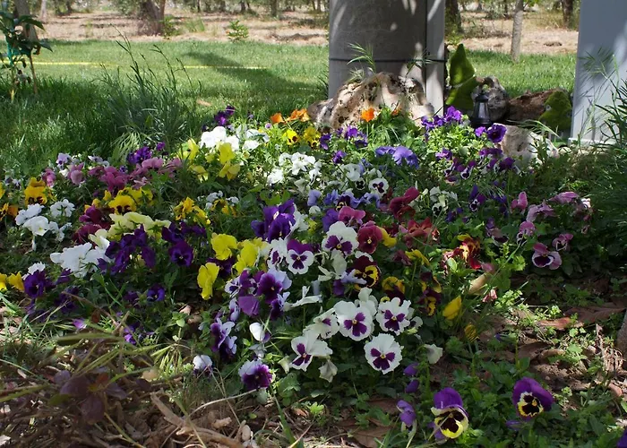 Casa de Férias Trullo Del Cavaliere Delle Gravine