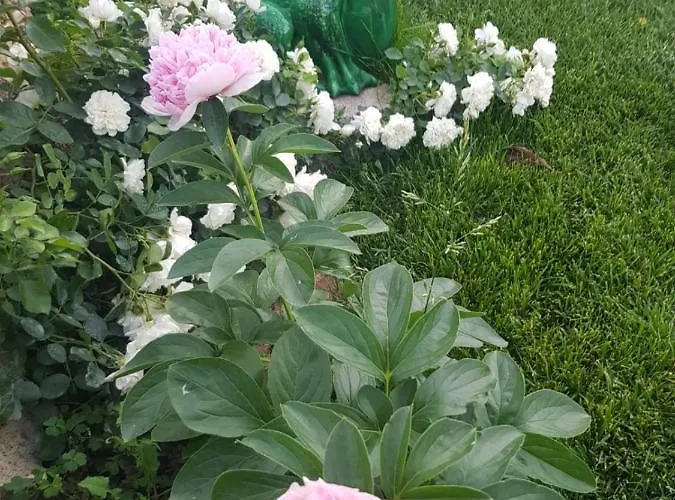 Trullo Del Cavaliere Delle Gravine *